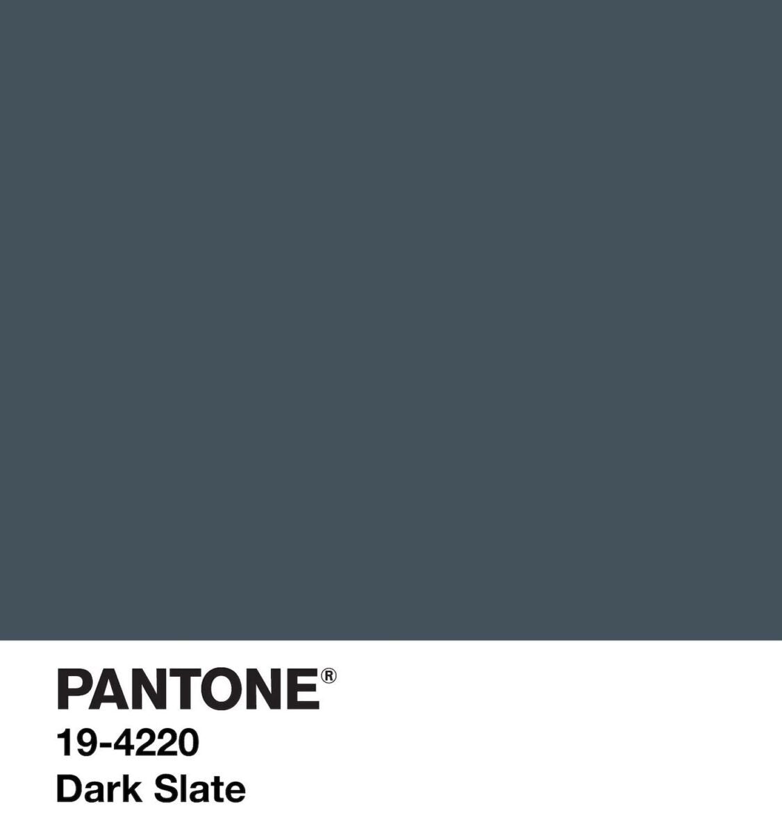 MAGLIONE DONNA "RAGNO"