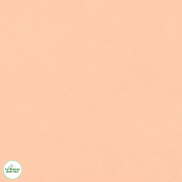 SLIP DONNA "LA SENZA"